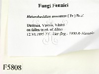 登錄號:F0005808藏品圖，第2張