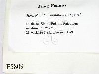 登錄號:F0005809藏品圖，第2張