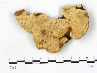 登錄號:F0005809藏品圖，第1張