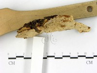 登錄號:F0005809藏品圖，第3張