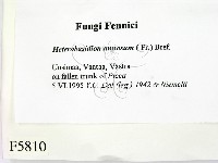 登錄號:F0005810藏品圖，第2張