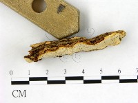 登錄號:F0005810藏品圖，第3張