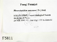 登錄號:F0005811藏品圖，第2張