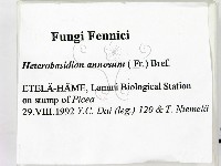 登錄號:F0005812藏品圖，第2張