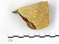 登錄號:F0005812藏品圖，第1張