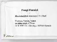 登錄號:F0005813藏品圖，第2張