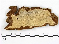 登錄號:F0005813藏品圖，第1張