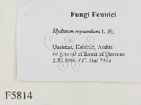 登錄號:F0005814藏品圖，第2張