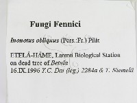 登錄號:F0005815藏品圖，第2張