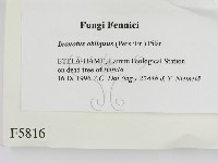 登錄號:F0005816藏品圖，第2張