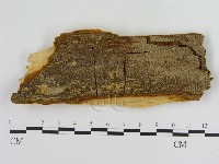 登錄號:F0005816藏品圖，第1張