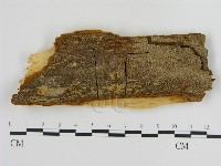 登錄號:F0005816藏品圖，第3張