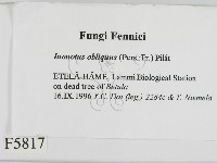 登錄號:F0005817藏品圖，第2張