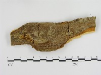 登錄號:F0005817藏品圖，第1張