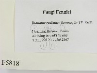 登錄號:F0005818藏品圖，第2張