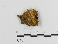 登錄號:F0005818藏品圖，第1張