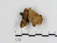 登錄號:F0005819藏品圖，第1張