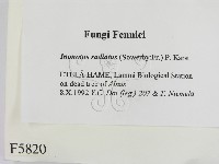 登錄號:F0005820藏品圖，第2張