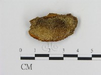 登錄號:F0005820藏品圖，第1張