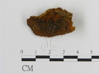 登錄號:F0005820藏品圖，第3張