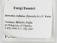 登錄號:F0005821藏品圖，第2張