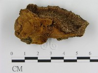 登錄號:F0005821藏品圖，第1張