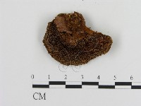 登錄號:F0005822藏品圖，第1張