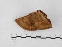 登錄號:F0005823藏品圖，第1張