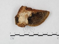 登錄號:F0005823藏品圖，第3張