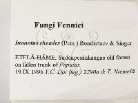 登錄號:F0005824藏品圖，第2張