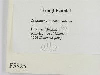 登錄號:F0005825藏品圖，第2張