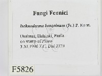 登錄號:F0005826藏品圖，第2張