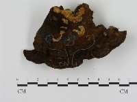 登錄號:F0005826藏品圖，第3張