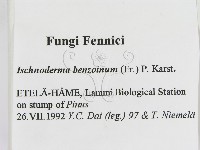 登錄號:F0005827藏品圖，第2張