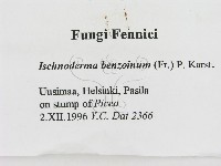 登錄號:F0005829藏品圖，第2張