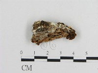 登錄號:F0005830藏品圖，第1張