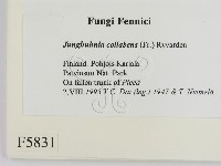 登錄號:F0005831藏品圖，第2張