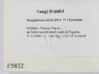 登錄號:F0005832藏品圖，第2張