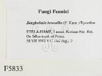 登錄號:F0005833藏品圖，第2張