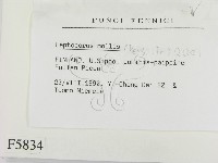 登錄號:F0005834藏品圖，第2張