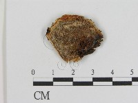 登錄號:F0005834藏品圖，第1張