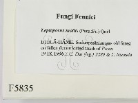 登錄號:F0005835藏品圖，第2張