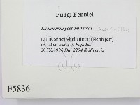 登錄號:F0005836藏品圖，第2張