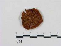 登錄號:F0005836藏品圖，第1張