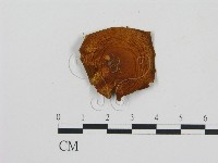 登錄號:F0005836藏品圖，第3張