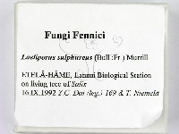 登錄號:F0005837藏品圖，第2張