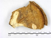 登錄號:F0005838藏品圖，第1張