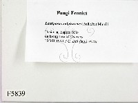 登錄號:F0005839藏品圖，第2張