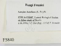 登錄號:F0005840藏品圖，第2張