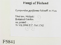 登錄號:F0005841藏品圖，第2張